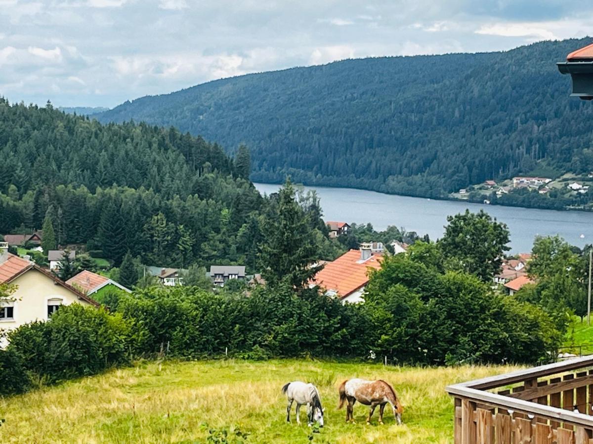 Stone Lake Luxury Lodge Gérardmer Εξωτερικό φωτογραφία